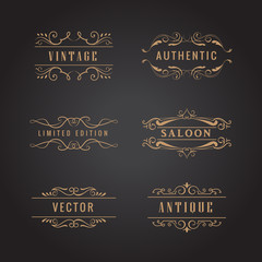 Wall Mural - set retro ornaments label luxury vintage logo vector