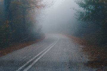 autumn landscape, foggy road in forest