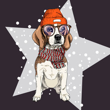 Vector Portrait Of Beagle Dog Wearing Beanie, Glasses And Scarf. Isolated On Star And Snow. Skecthed Color Illustraion. Christmas, Xmas, New Year. Party Decoration, Promotion, Greeting Card
