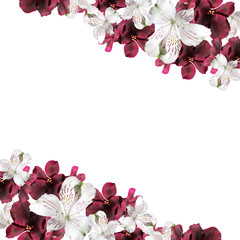 Fotomurales - Beautiful floral background of pelargonium and alstroemeria 