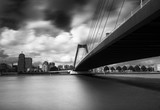 Fototapeta  - Willemsbrug Rotterdam