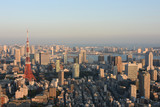 Fototapeta Zwierzęta - 日本の東京都市景観「江東区や港区方面を望む」