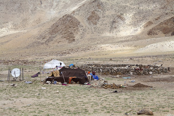 Wall Mural - Nomad people in Ladakh, India