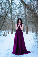 Wall Mural - A young woman in an elegant burgundy evening dress in winter among trees and snow conceals a riddle