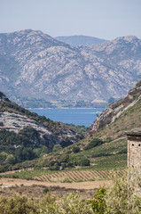 Corsica, 28/08/2017: vista panoramica del paesaggio selvaggio dell'Alta Corsica con le montagne circondate da colline verdi, vigneti e campi di grano