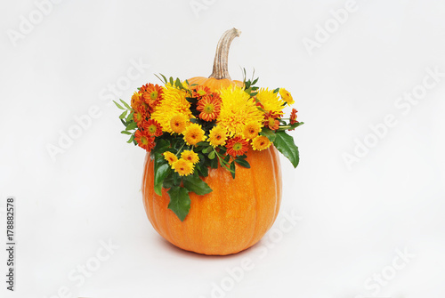Fotografía Pumpkin autum ncolorful flower arrangement on white background