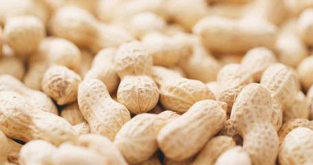 Poster - Peanuts with shell