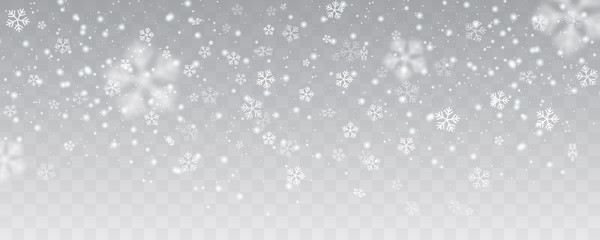 vector heavy snowfall, snowflakes in different shapes and forms. many white cold flake elements on t