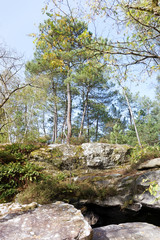 Wall Mural - Chaos rocheux des gorges du houx dans le parc régional naturel du Gâtinais français