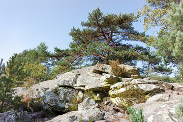 Wall Mural - Chaos rocheux des gorges du houx dans le parc régional naturel du Gâtinais français