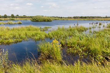 moorlandschaft