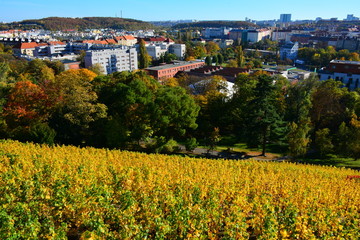 Wall Mural - Autumn Prague view