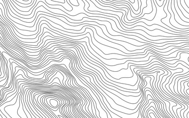 Wall Mural - mobilethe stylized height of the topographic contour in lines and contours. the concept of a conditi