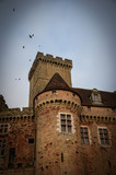 Fototapeta Las - Oiseaux et châteaux
