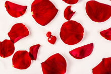 Red Rose Petals And Red Heart On A White Background