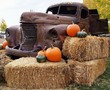 A rusted old truck surrounded by hay bales and pumpkins as a harvest time decoration at a pumpkin patch. 