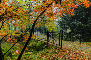 Wall Mural - Scenic view of misty autumn landscape with beautiful old bridge in the garden with red maple foliage.