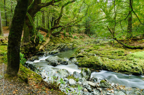 Fotomural Shimna River, Newcastle, Northern Ireland