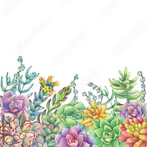 granica-z-liscmi-soczysta-kolekcja-ucculents-akwarela-recznie-rysowane-malarstwo-ilustracja-na-bialym-tle