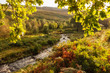 Autumn Light Stream Peak District  UK