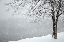 Falling Snow Piles Up On The Shore Of A Winter Lake