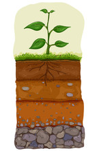 Soil Layer Illustration