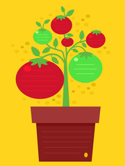 Poster - Tomato Design Background Illustration