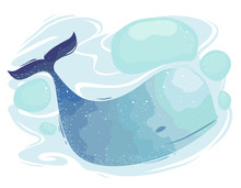 Blue Whale Underwater