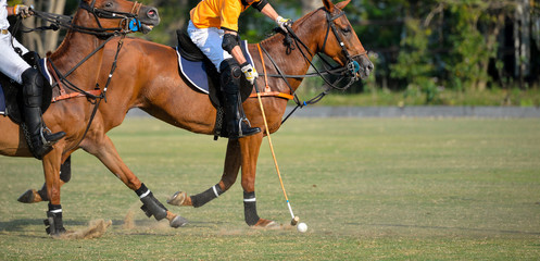 Wall Mural - Horse Polo Player Hit a Polo Ball