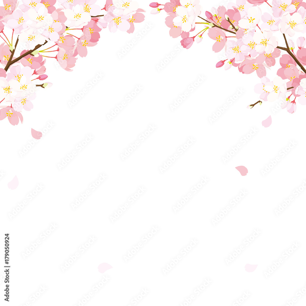 photo & art print 桜 背景イラスト | europosters