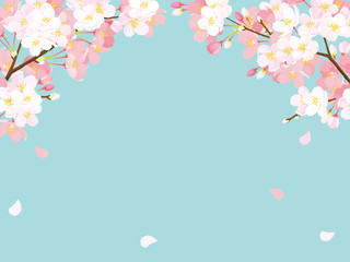 Sticker - 桜　背景イラスト