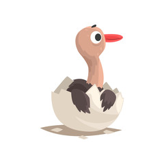 Sticker - Cute ostrich baby in broken egg shell