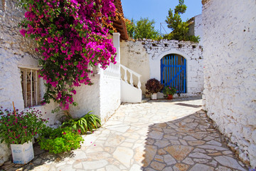 old street with beautiful flowers in greek village afionas on corfu island, greece