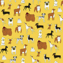 Breeds Of Dogs Seamless Pattern. Minimalism. Vector Illustration