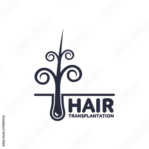 Stylized Curly Hair Follicle In Hair Bulb With Human Skin Dermis