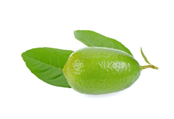 Wall Mural - fresh lime on white background