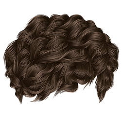 Wall Mural - trendy curly hairs brown blonde colors . medium length . beauty style .realistic  3d .