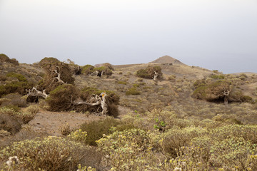 El Hierro, Canary Islands