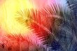 Retro beautiful multicolored palm trees