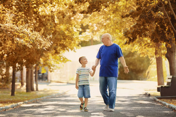 Happy senior man with grandson in park