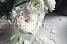 Withering White Roses And Petals