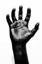 Abstract Shot Of Human Hands Painted In Black