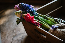 Hyacinth Flowers In A Vintage Wooden Box