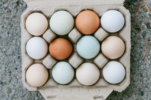 Carton Of Local Organic Colorful Eggs