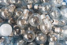 Big Pile Of Used Light Bulbs
