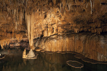 Lily Pad Formations Inside A Missouri Cave