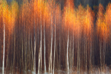Aufkleber - Autumnal textural scenic background with motion blur, toned in vintage style