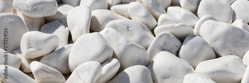 Fototapeta Background and texture of many white round stones