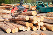 Forstwirtschaft - Holzlager, Greifzange zur Holzverladung