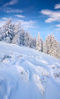 © Andrew Mayovskyy - Picturesque winter morning in Carpathian mountains with snow covered fir trees